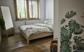 Apartament 12